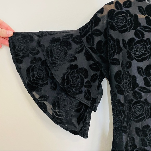 Must have | Black Velvet Sheer Top - Picture 2 of 2